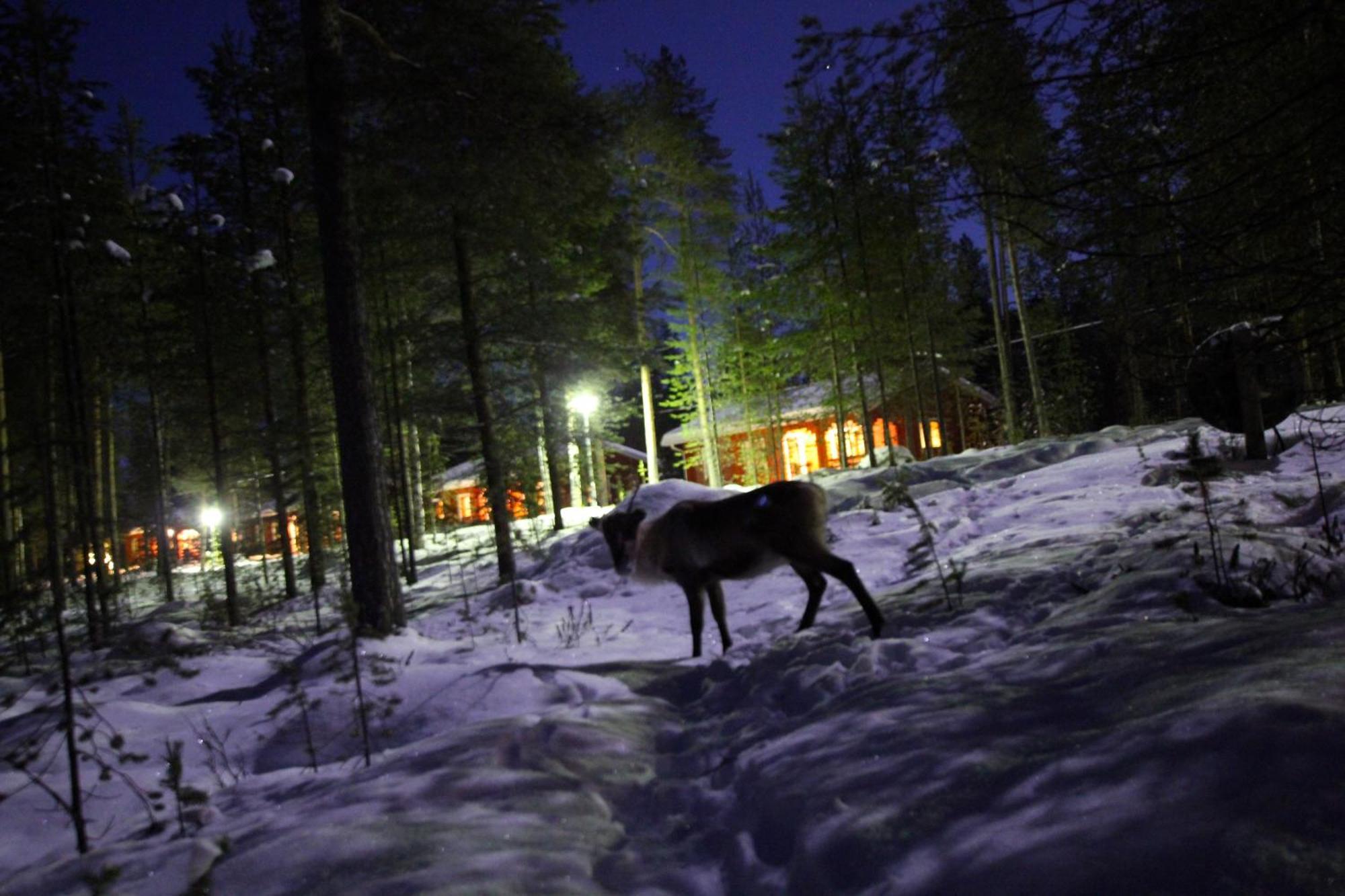 Ukonjaerven Holiday Village Ivalo Exterior foto