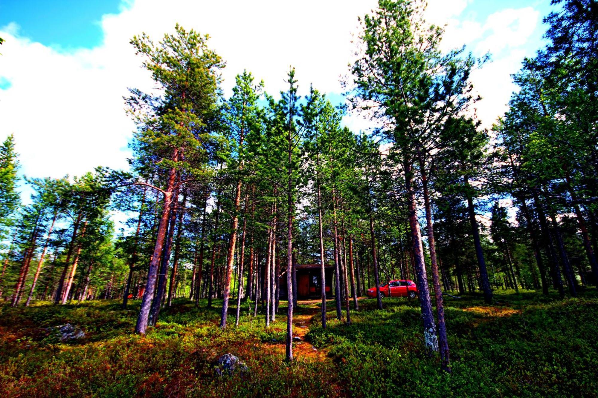 Ukonjaerven Holiday Village Ivalo Zimmer foto