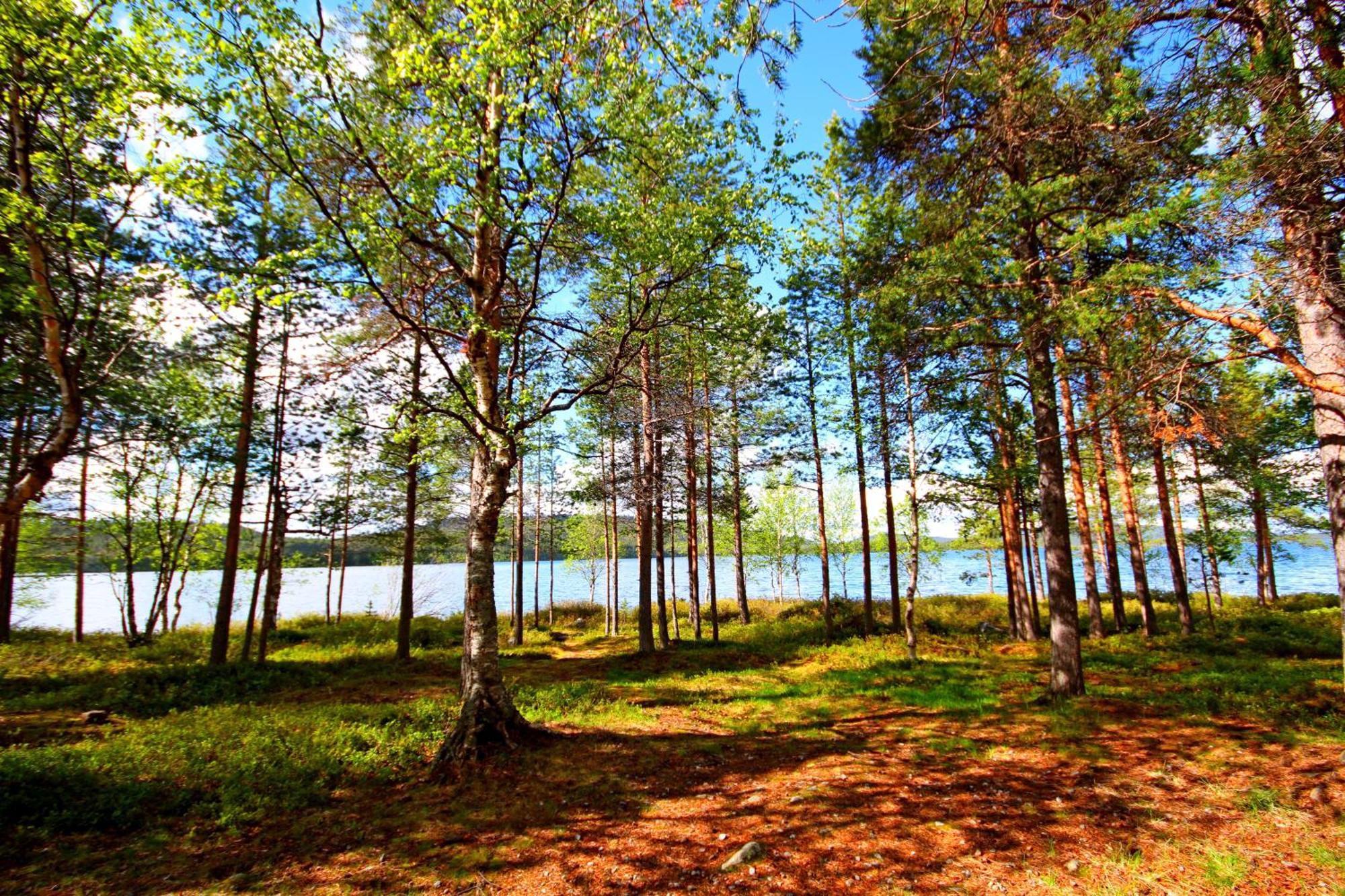 Ukonjaerven Holiday Village Ivalo Zimmer foto